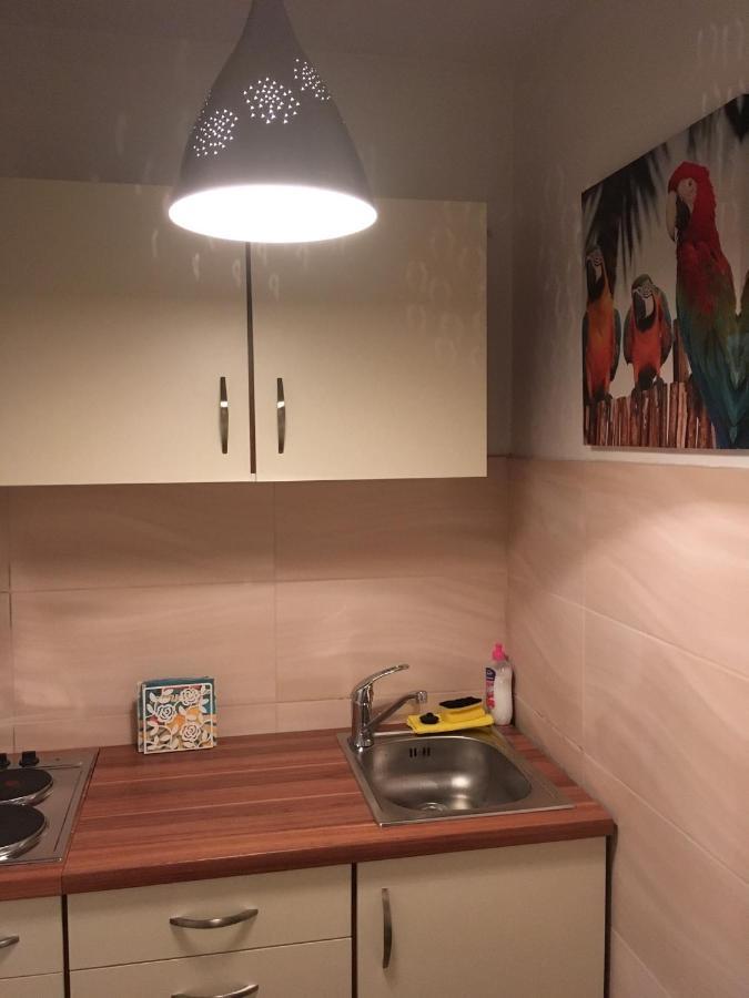 Ferienwohnung Stadtmitte Wuerzburg Ngoại thất bức ảnh